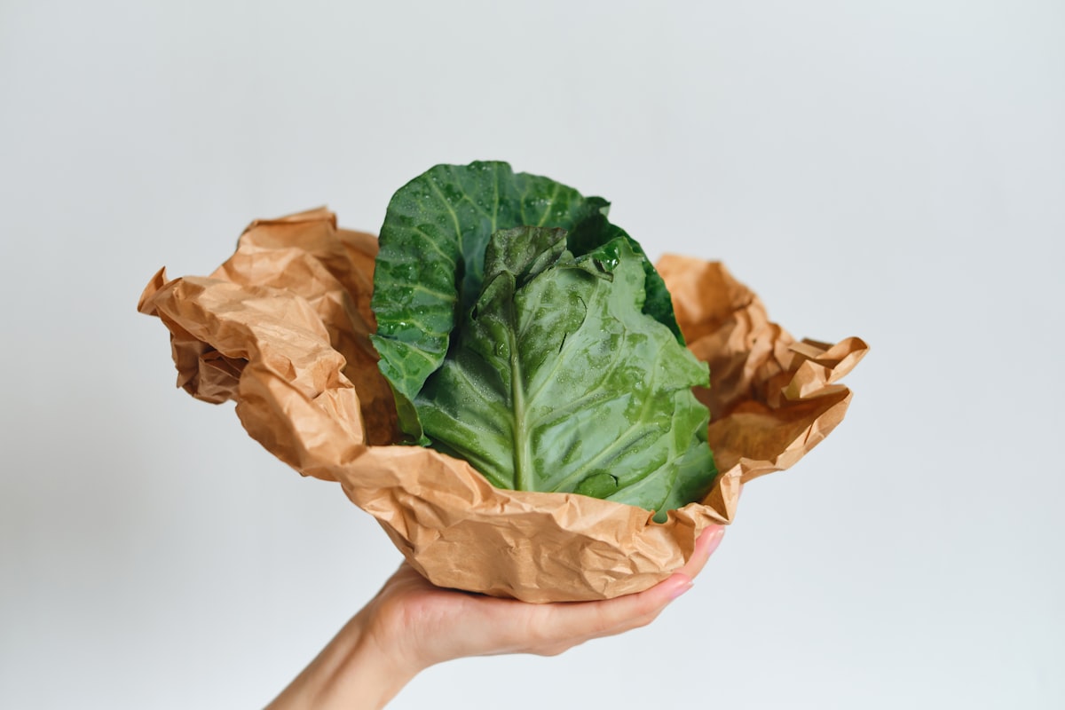 Low-Carb Ernährung